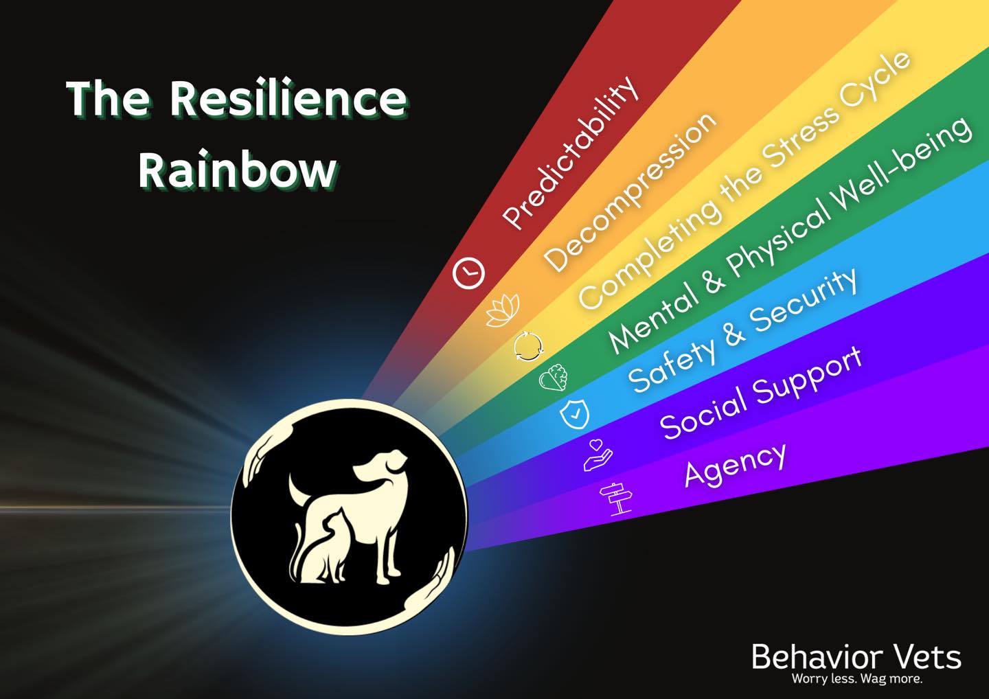 Building Resiliency Positive Dog Training